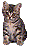 GeoCities