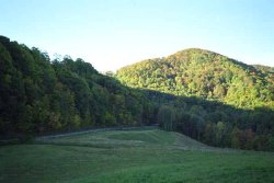 Road to Asheville NC