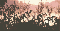 crops