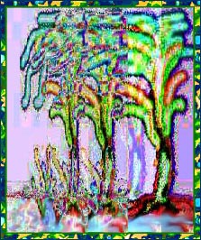 Primeval Forest
