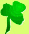 Shamrock