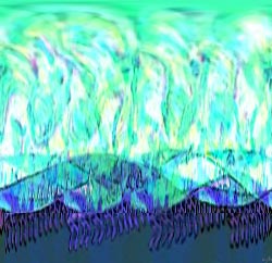 Biosphere