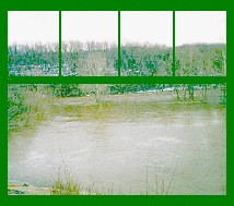 flood