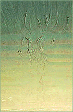 graphic2