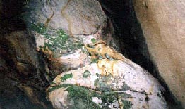 cave