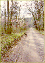 road