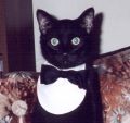 007 Buddie