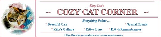 Kitty Lea's Banner