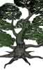 Treant: Druid