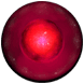 Uuter