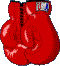 a site for fight fans