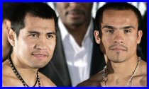 Barrera vs. Marquez