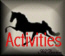 activities.jpg (4141 bytes)