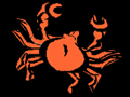 Enter CRABDOTCOM