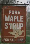 Maple Syrup For Sale