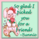 Thanks Bunnie!