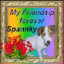Thanks Spannky!