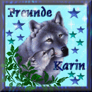 Thanks Karin!
