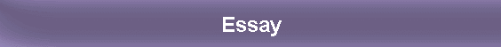 Essay
