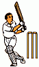 cricket3.gif