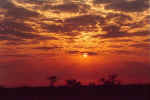 Sunrise outside Namutomi Camp - Etosha, Namibia