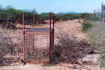 The perpetrator went in and out, and closed the trap... - Click to enlarge