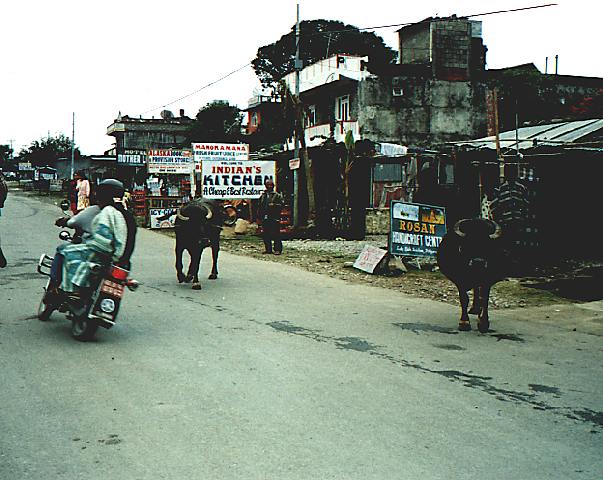 Pokhara street scene