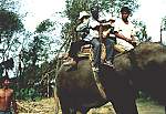 ride on an elephant