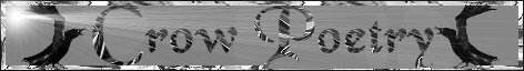 Crow Poetry Banner 2