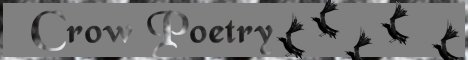 Crow Poetry Banner 3