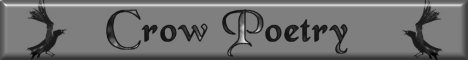 Crow Poetry Banner 4