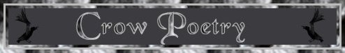 Crow Poetry Banner 5