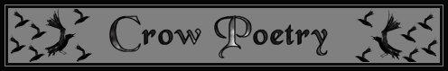 Crow Poetry Banner 6