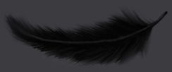 Feather Bar