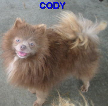 CODY
