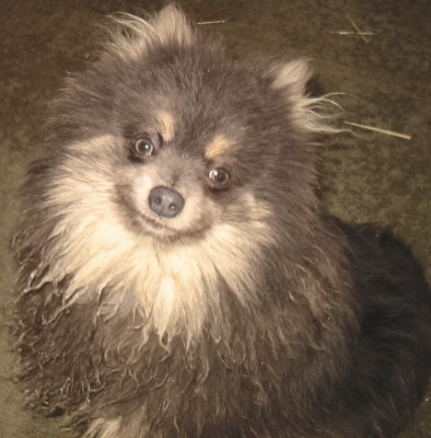 KEEGAN