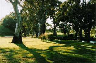 Crystal Brook golf course