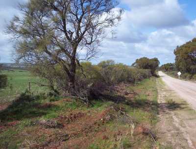 Grader damage 2, August 2005