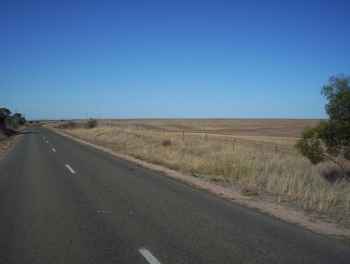 Bowman Park roadside