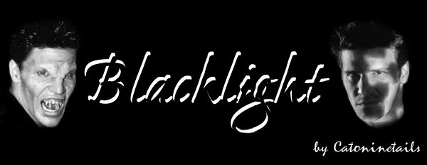 Blacklight Header