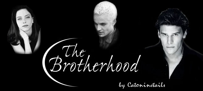 Brotherhood Header