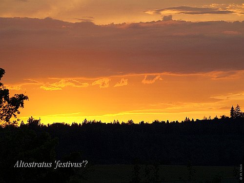 Altostratus (?) with interesting formation (I am tempted to call it 'festivus')