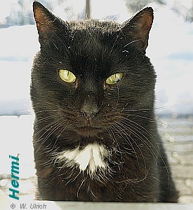 Hermi, who teaches us so much about the capacity to bear suffering