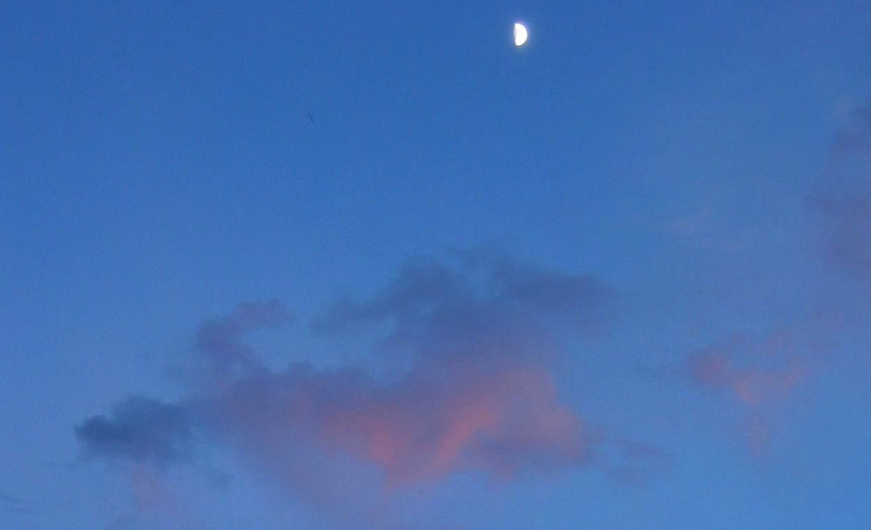 July 2005 - Summer Moon