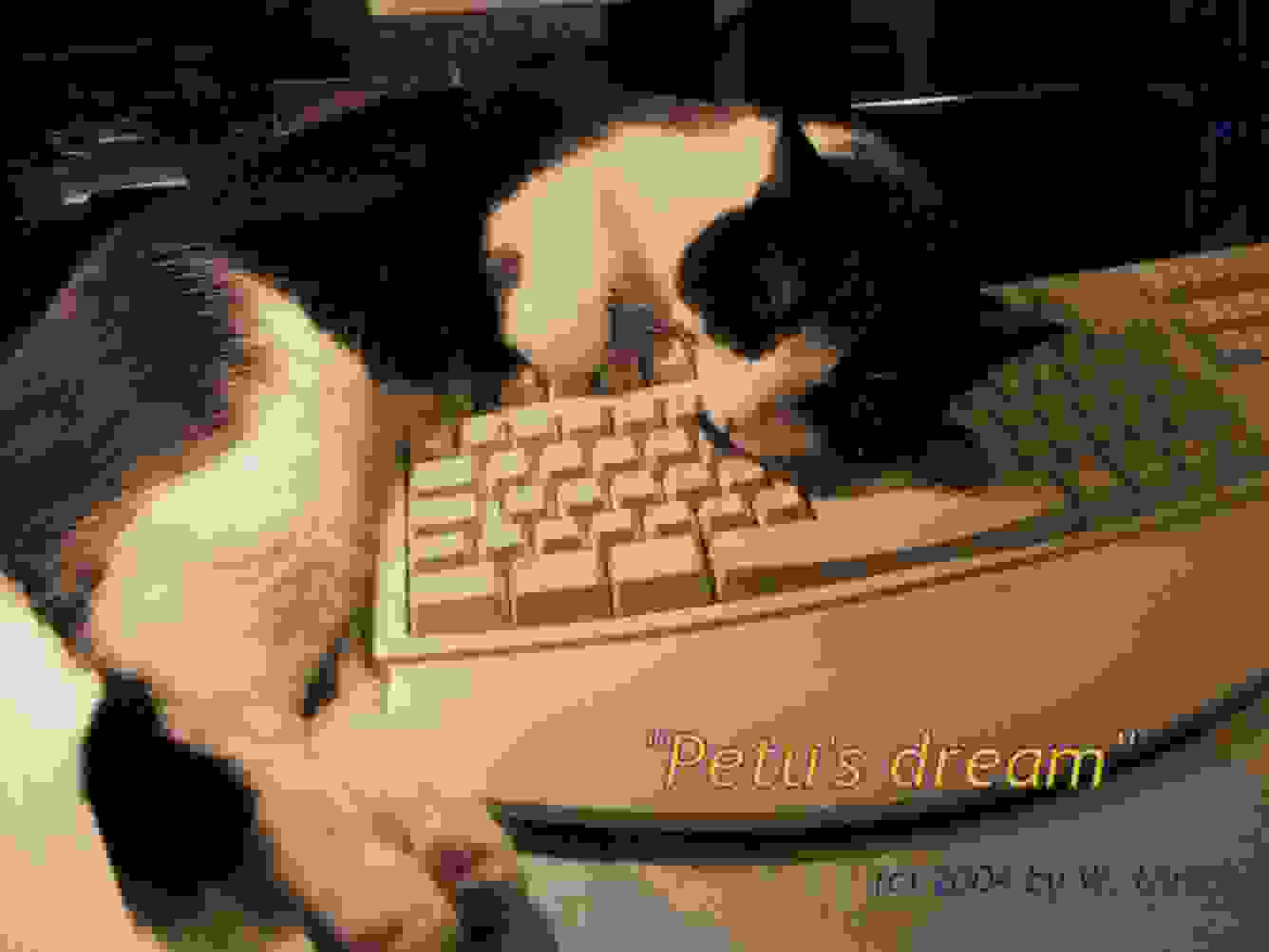 March 2004 - Petu's dream, or the bridge to heaven