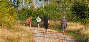 Nordic walkers