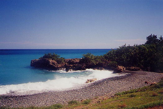 beachsurf