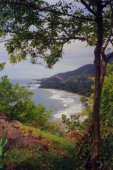 ocean1