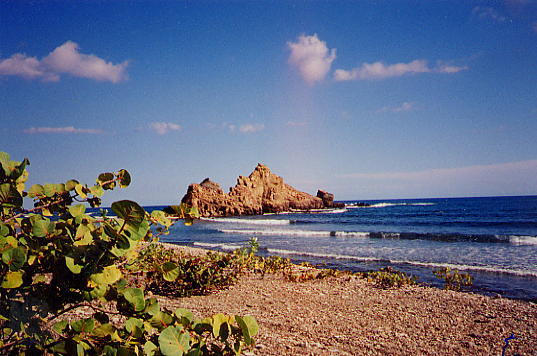rocks