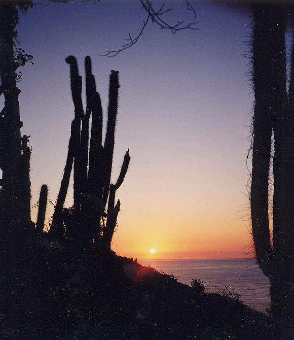sunrise